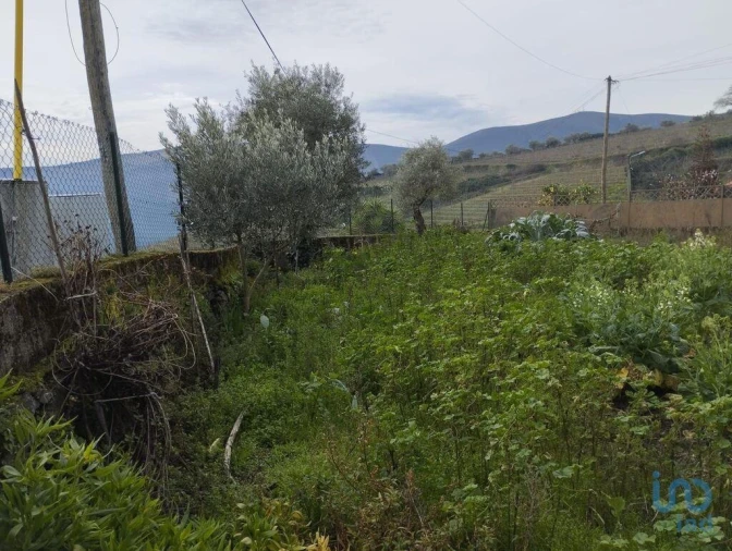Prédio para Venda em Provesende, Gouvães Douro, São Cristóvão Douro Foto 6