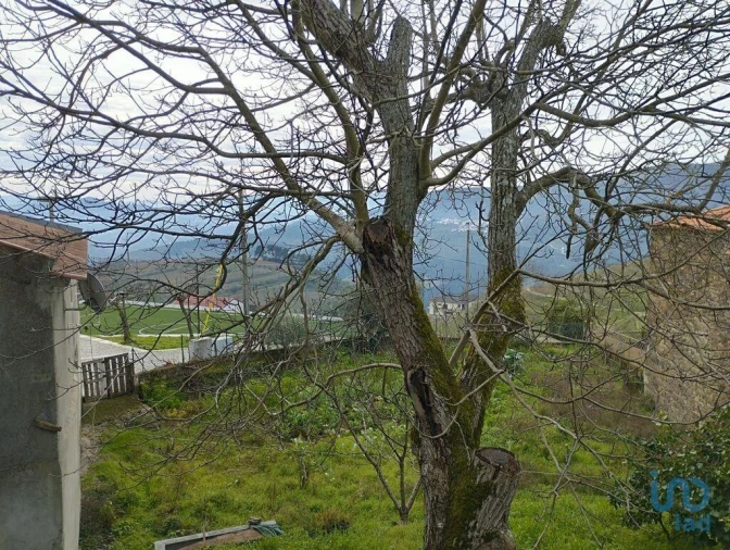 Prédio para Venda em Provesende, Gouvães Douro, São Cristóvão Douro Foto 8