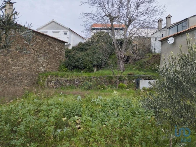 Prédio para Venda em Provesende, Gouvães Douro, São Cristóvão Douro Foto 7