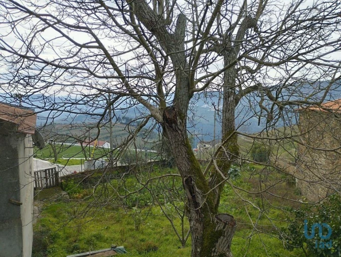 Prédio para Venda em Provesende, Gouvães Douro, São Cristóvão Douro Foto 13