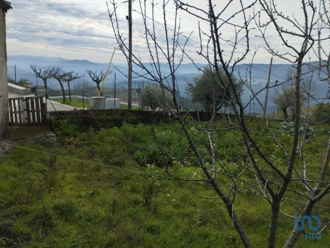 Prédio para Venda em Provesende, Gouvães Douro, São Cristóvão Douro Foto 12