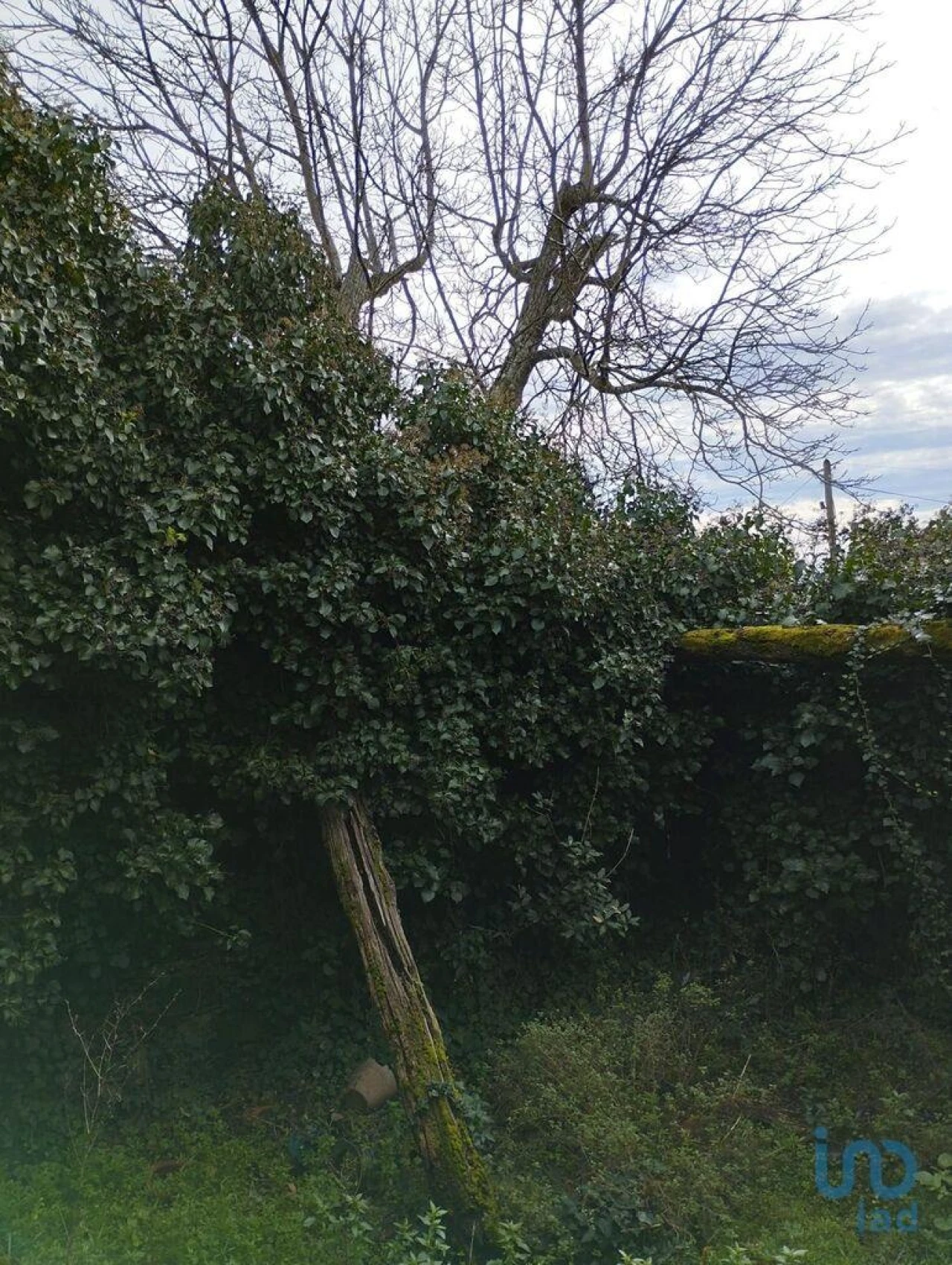 Prédio para Venda em Provesende, Gouvães Douro, São Cristóvão Douro Foto 5