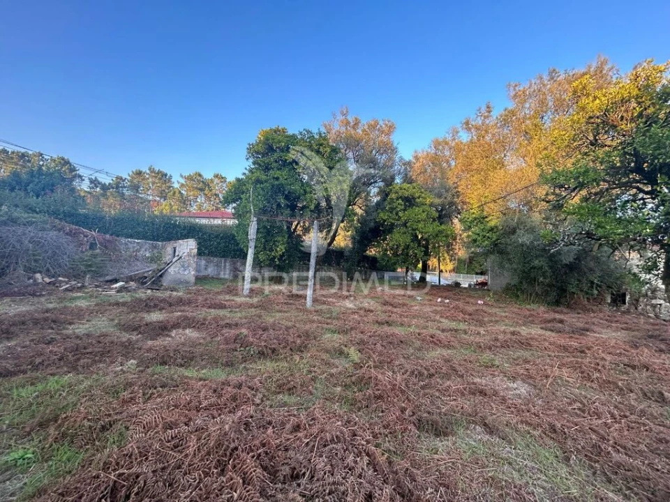 Terreno para Venda em Ponte Foto 5