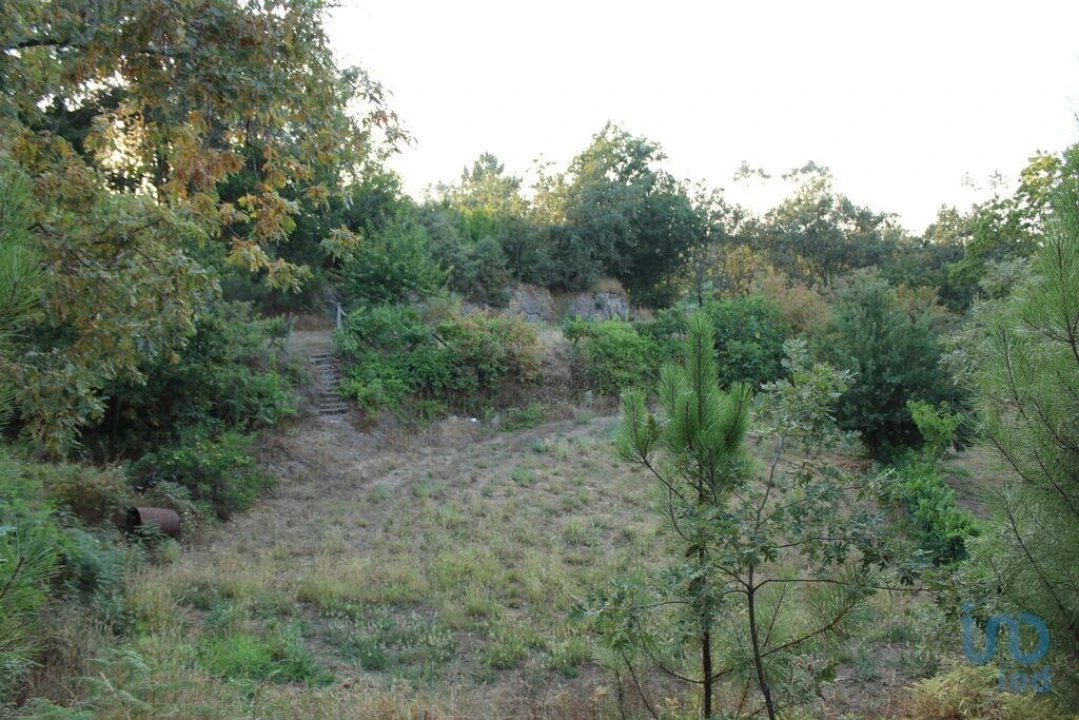 Terreno para Venda em Nogueira do Cravo Foto 3