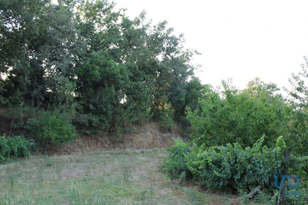 Terreno para Venda em Nogueira do Cravo Foto 4