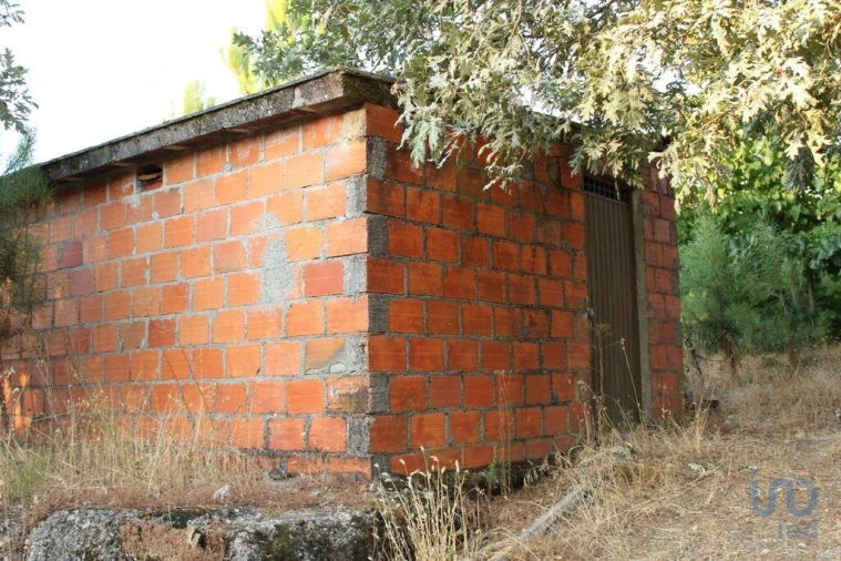 Terreno para Venda em Nogueira do Cravo Foto 5