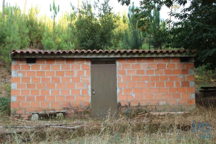 Terreno para Venda em Nogueira do Cravo