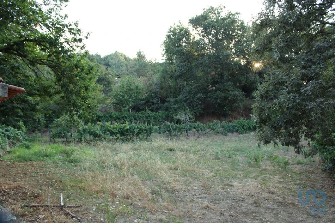 Terreno para Venda em Nogueira do Cravo Foto 9
