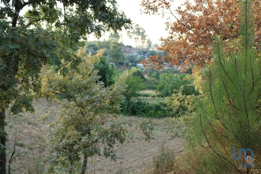 Terreno para Venda em Nogueira do Cravo Foto 6