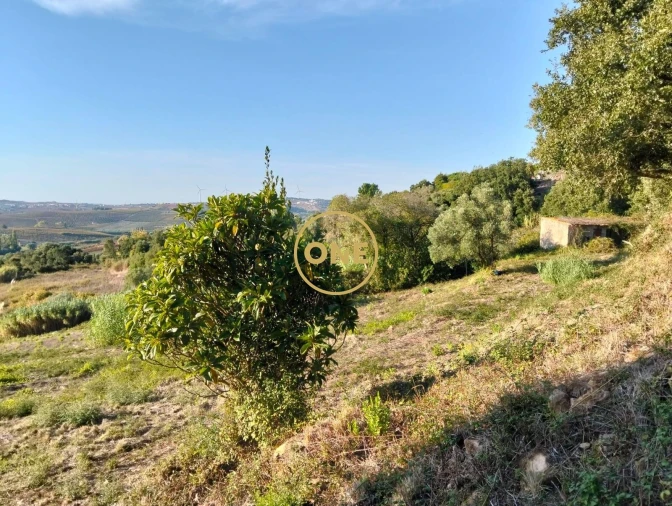 Terreno para Venda em Azueira e Sobral da Abelheira Foto 16