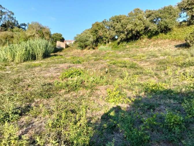 Terreno para Venda em Azueira e Sobral da Abelheira Foto 13