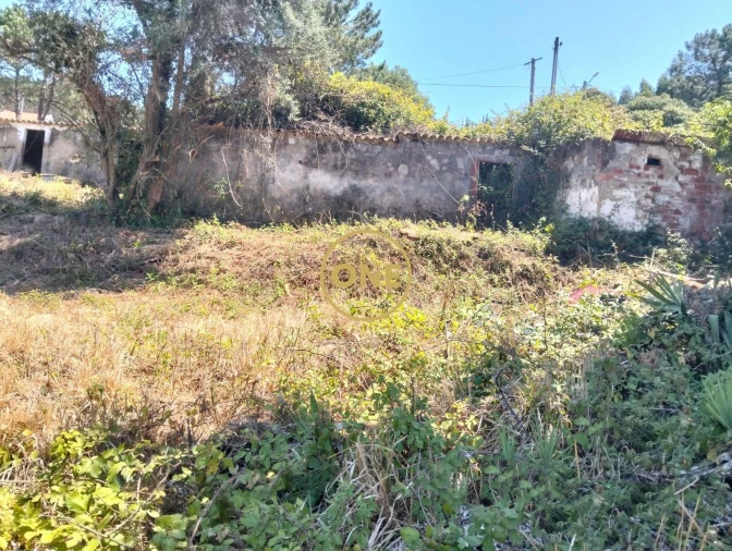Terreno para Venda em Azueira e Sobral da Abelheira Foto 4