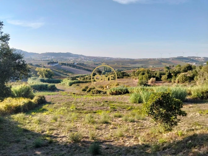 Terreno para Venda em Azueira e Sobral da Abelheira Foto 19