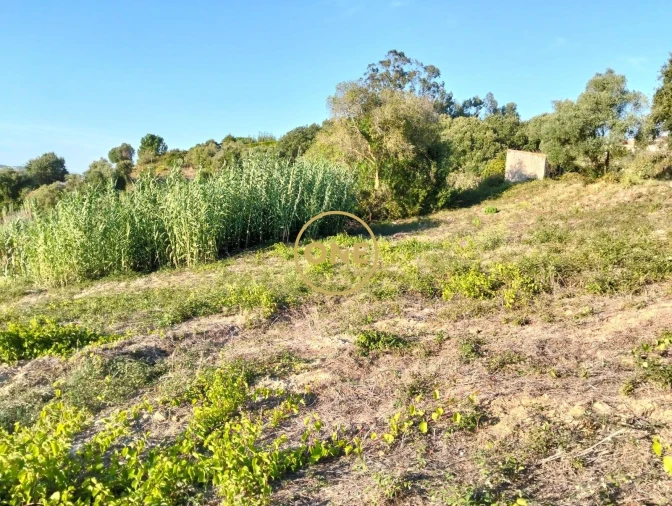 Terreno para Venda em Azueira e Sobral da Abelheira Foto 12