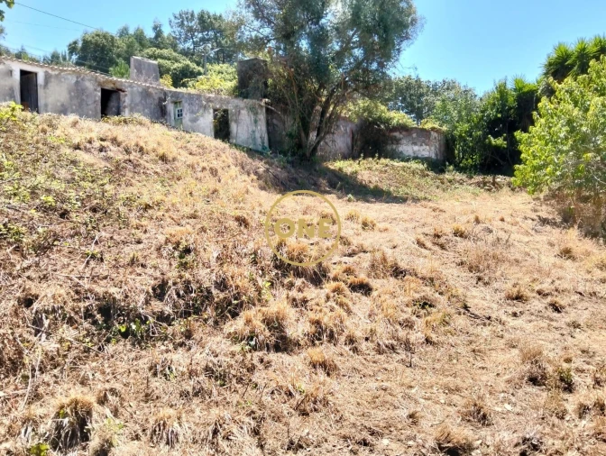 Terreno para Venda em Azueira e Sobral da Abelheira Foto 5