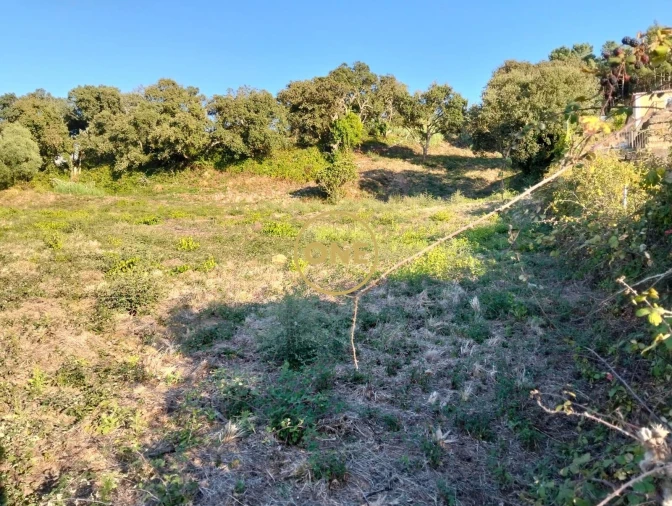 Terreno para Venda em Azueira e Sobral da Abelheira Foto 17