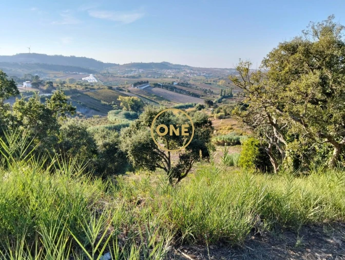 Terreno para Venda em Azueira e Sobral da Abelheira Foto 21