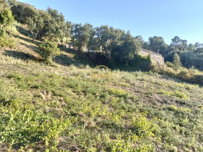 Terreno para Venda em Azueira e Sobral da Abelheira Foto 11