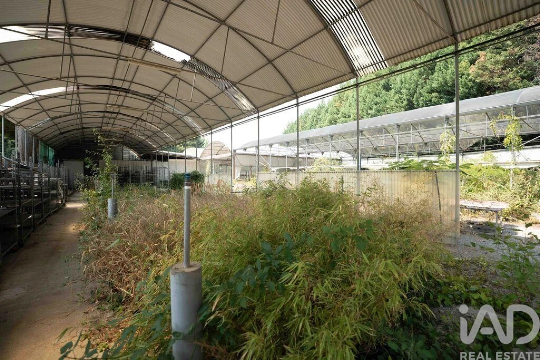 Terreno para Venda em Borbela e Lamas de Olo Foto 11