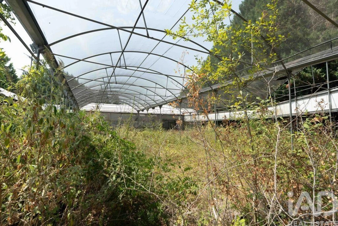 Terreno para Venda em Borbela e Lamas de Olo Foto 16