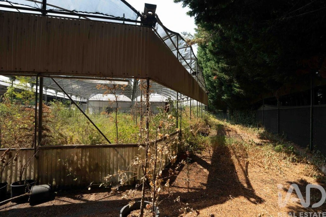 Terreno para Venda em Borbela e Lamas de Olo Foto 15