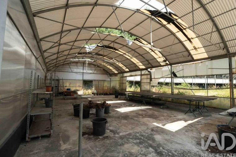 Terreno para Venda em Borbela e Lamas de Olo Foto 25