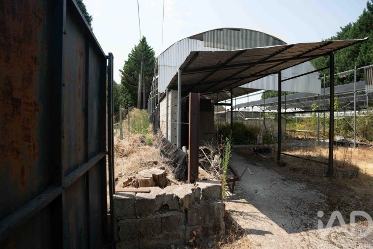Terreno para Venda em Borbela e Lamas de Olo Foto 4