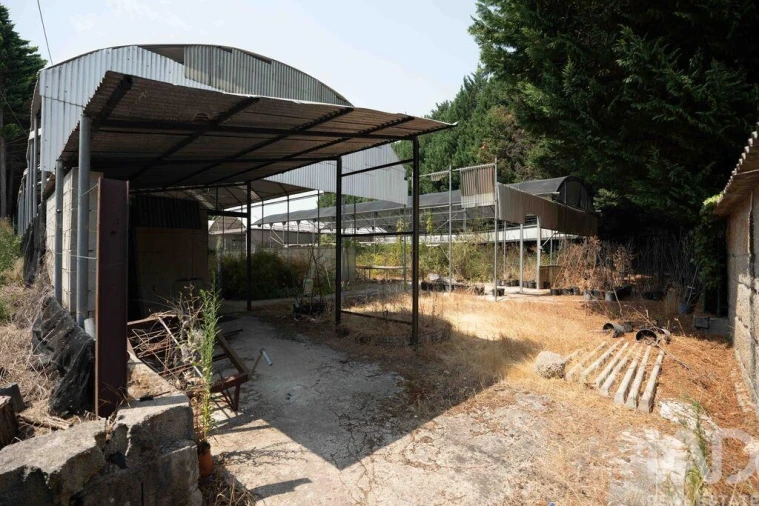 Terreno para Venda em Borbela e Lamas de Olo Foto 5