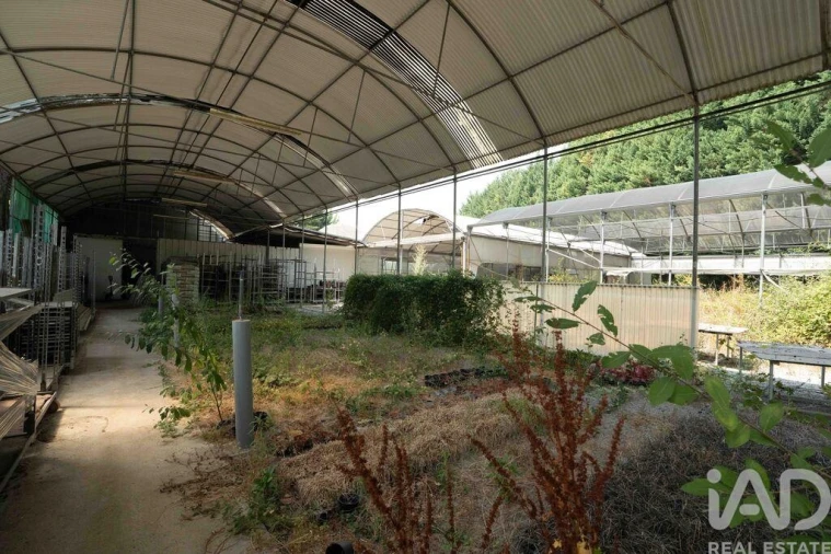 Terreno para Venda em Borbela e Lamas de Olo Foto 17