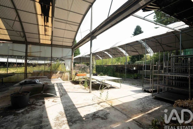 Terreno para Venda em Borbela e Lamas de Olo Foto 26