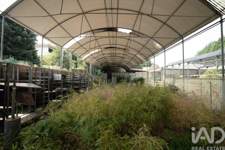 Terreno para Venda em Borbela e Lamas de Olo Foto 13