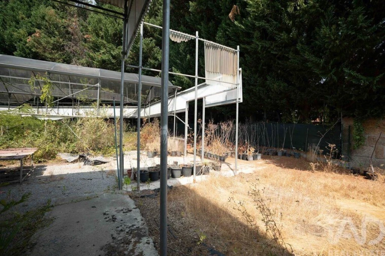 Terreno para Venda em Borbela e Lamas de Olo Foto 9