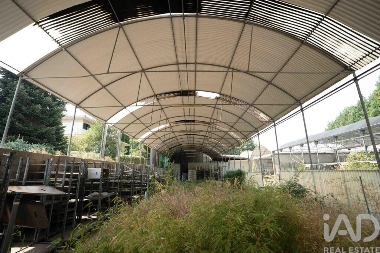 Terreno para Venda em Borbela e Lamas de Olo Foto 8