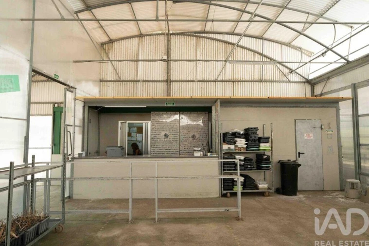 Terreno para Venda em Borbela e Lamas de Olo Foto 28