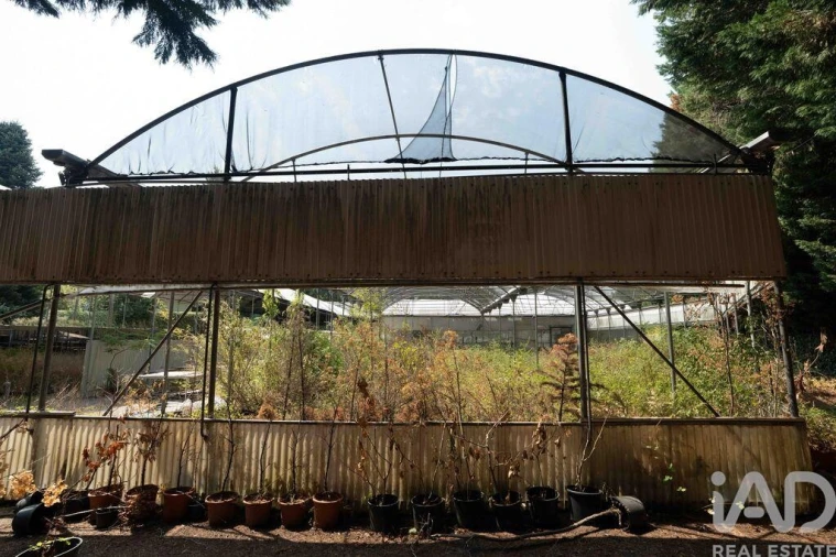 Terreno para Venda em Borbela e Lamas de Olo Foto 14