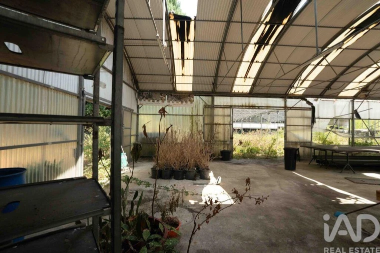 Terreno para Venda em Borbela e Lamas de Olo Foto 30