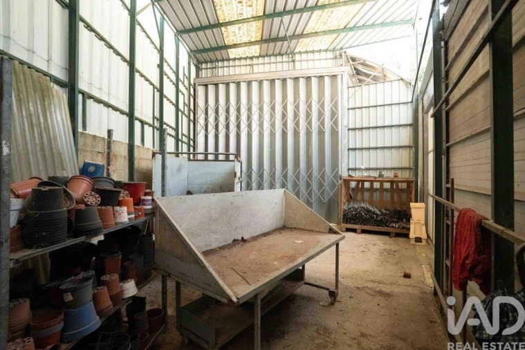 Terreno para Venda em Borbela e Lamas de Olo Foto 24