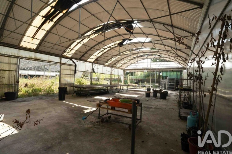 Terreno para Venda em Borbela e Lamas de Olo Foto 29