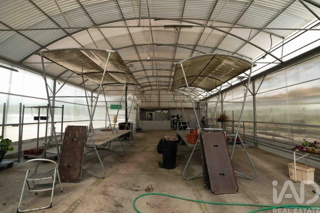 Terreno para Venda em Borbela e Lamas de Olo Foto 27
