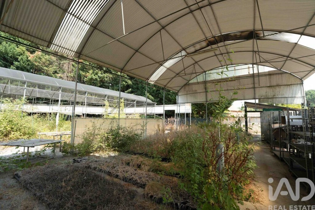 Terreno para Venda em Borbela e Lamas de Olo Foto 18