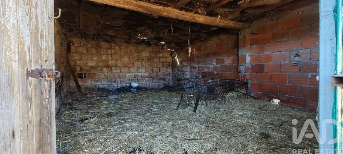 Moradia T6 para Venda em Proença-A-Nova e Peral Foto 30