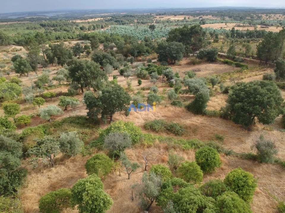 Quinta T1 para Venda em Louriçal do Campo Foto 3