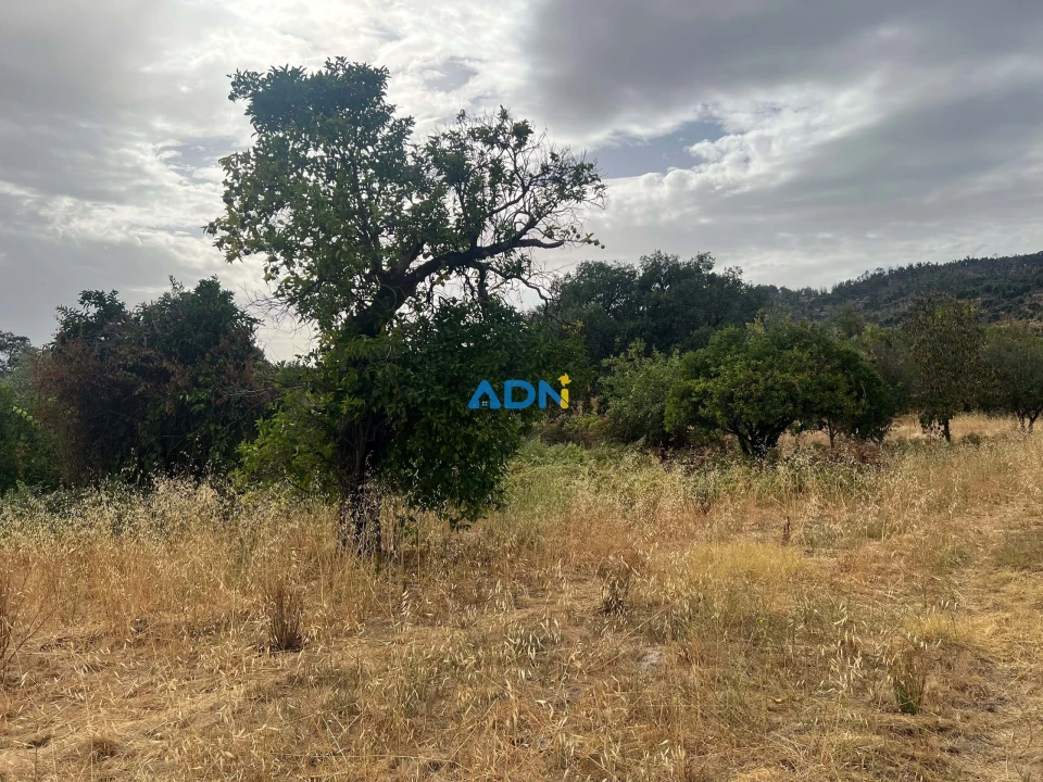 Quinta T1 para Venda em Louriçal do Campo Foto 42