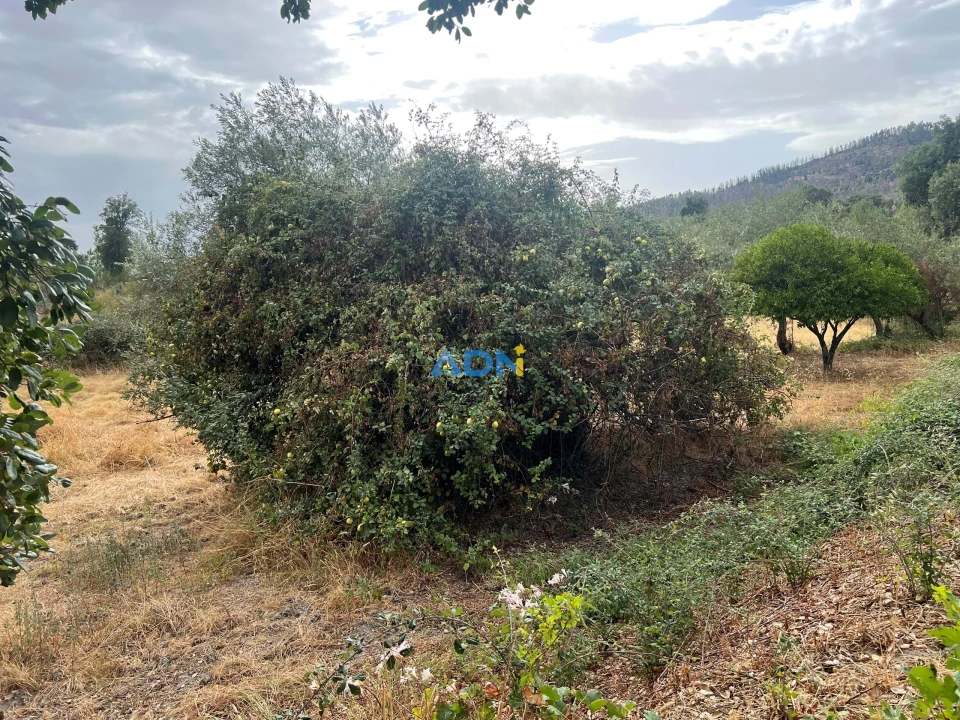 Quinta T1 para Venda em Louriçal do Campo Foto 43