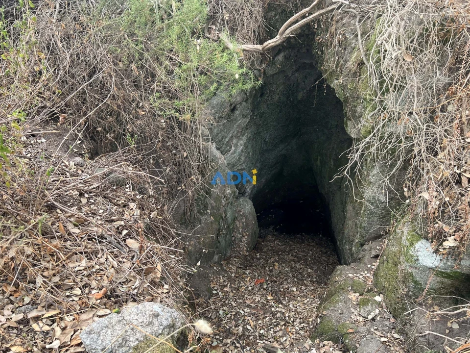 Quinta T1 para Venda em Louriçal do Campo Foto 53