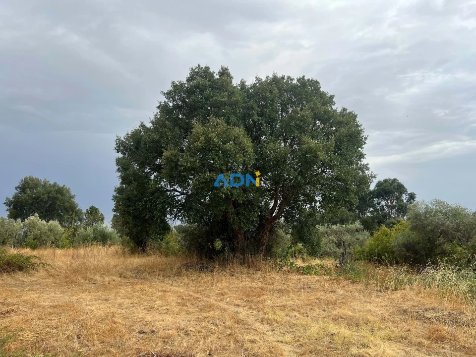 Quinta T1 para Venda em Louriçal do Campo Foto 40