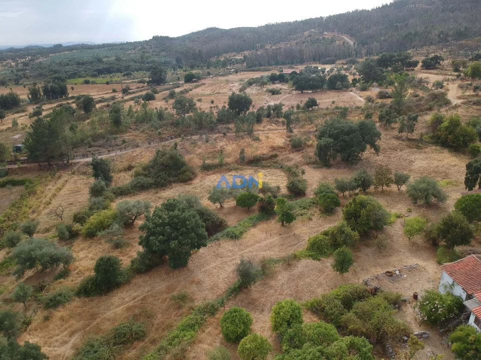 Quinta T1 para Venda em Louriçal do Campo Foto 9