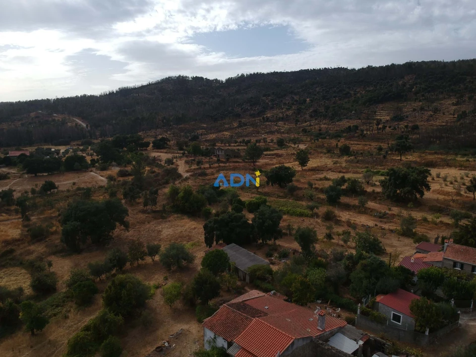 Quinta T1 para Venda em Louriçal do Campo Foto 10