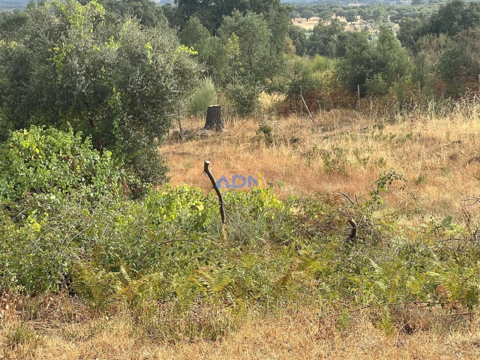 Quinta T1 para Venda em Louriçal do Campo Foto 66