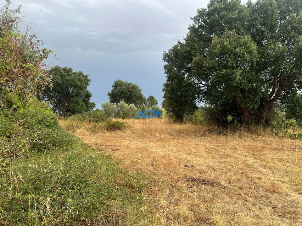 Quinta T1 para Venda em Louriçal do Campo Foto 39